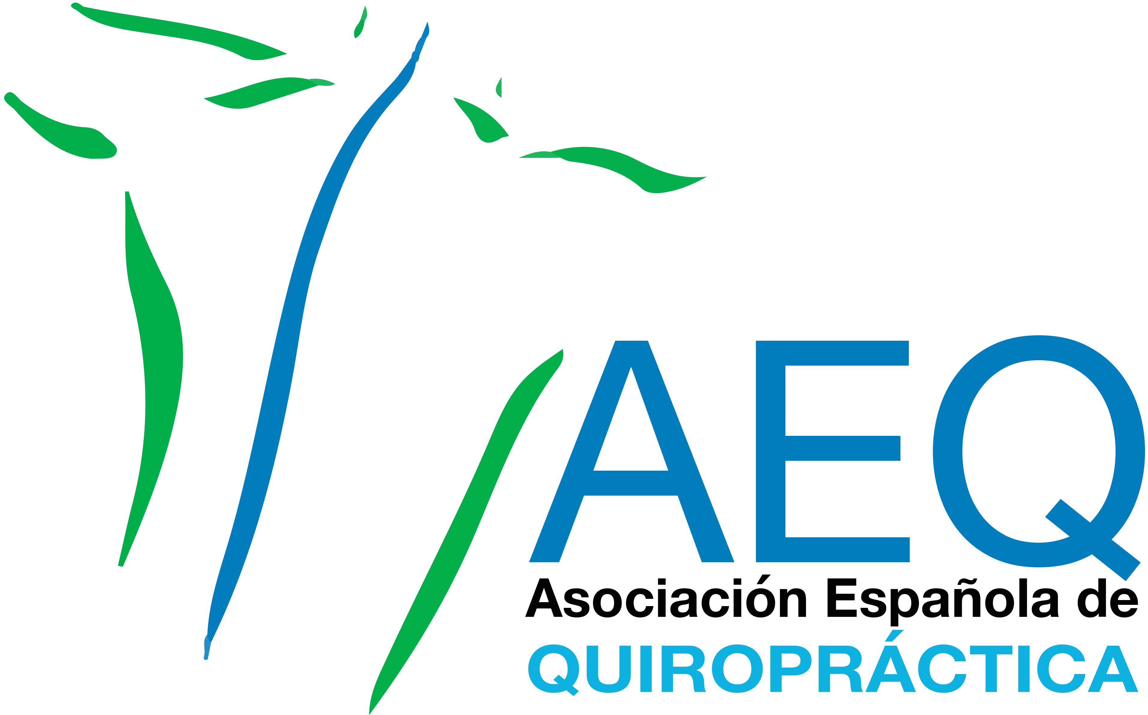 Asociación Española de Quiropráctica (AEQ)